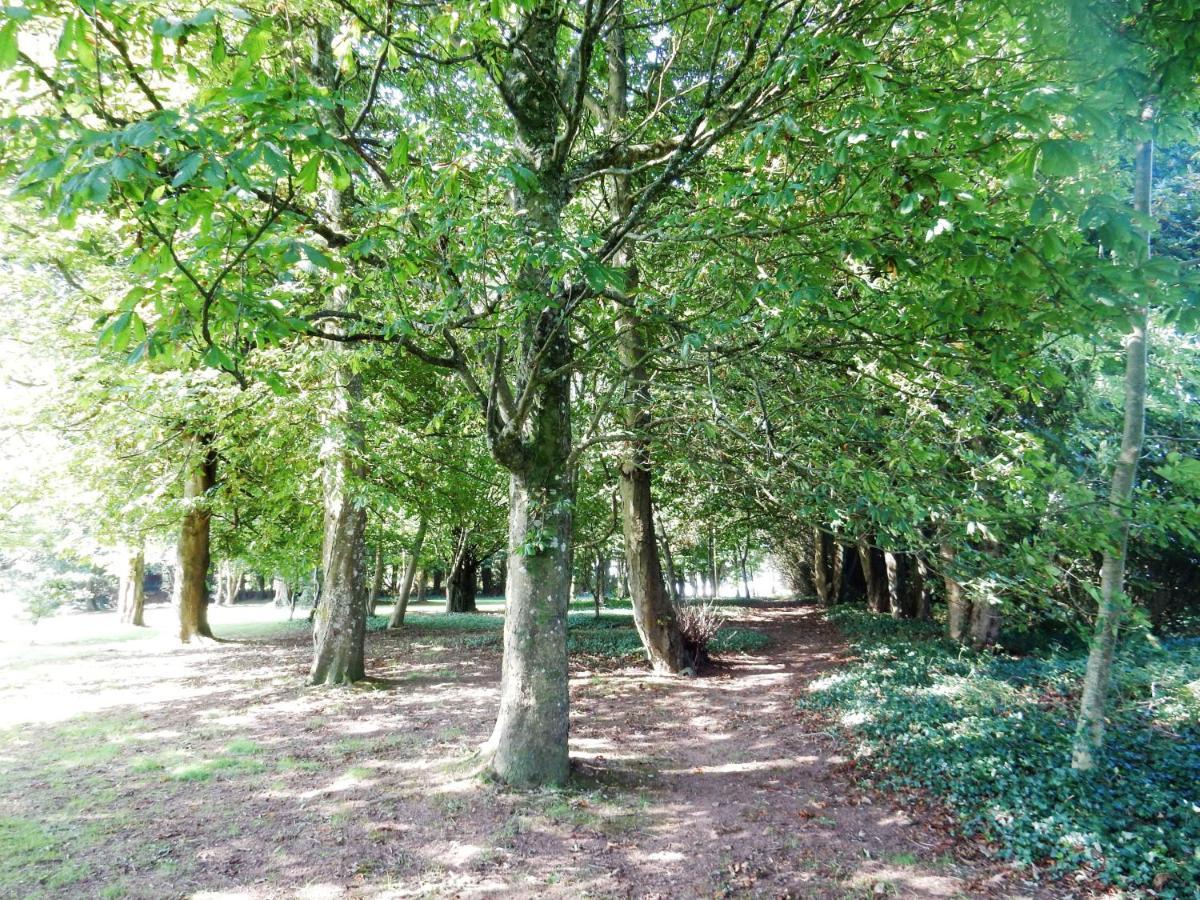 Dartmouth Chalet Holidays Bagian luar foto